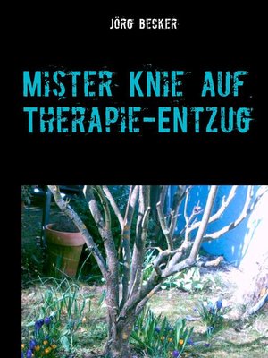 cover image of Mister Knie auf Therapie-Entzug